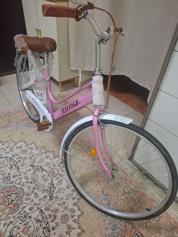 Classic women's bicycle - 4
