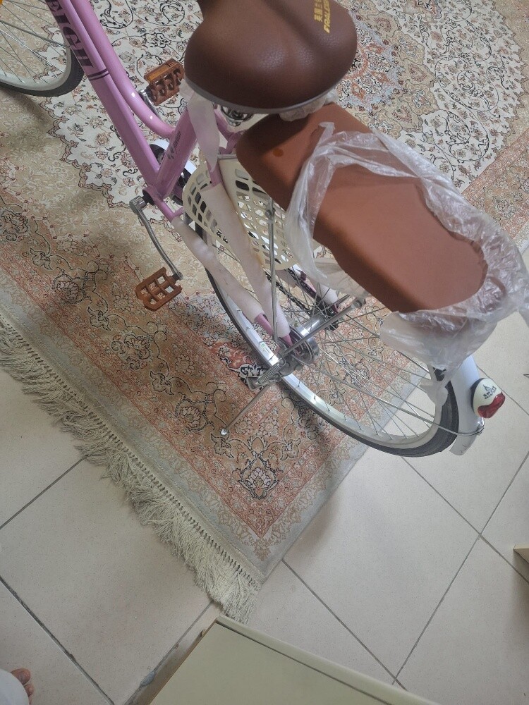 Classic women's bicycle - 5