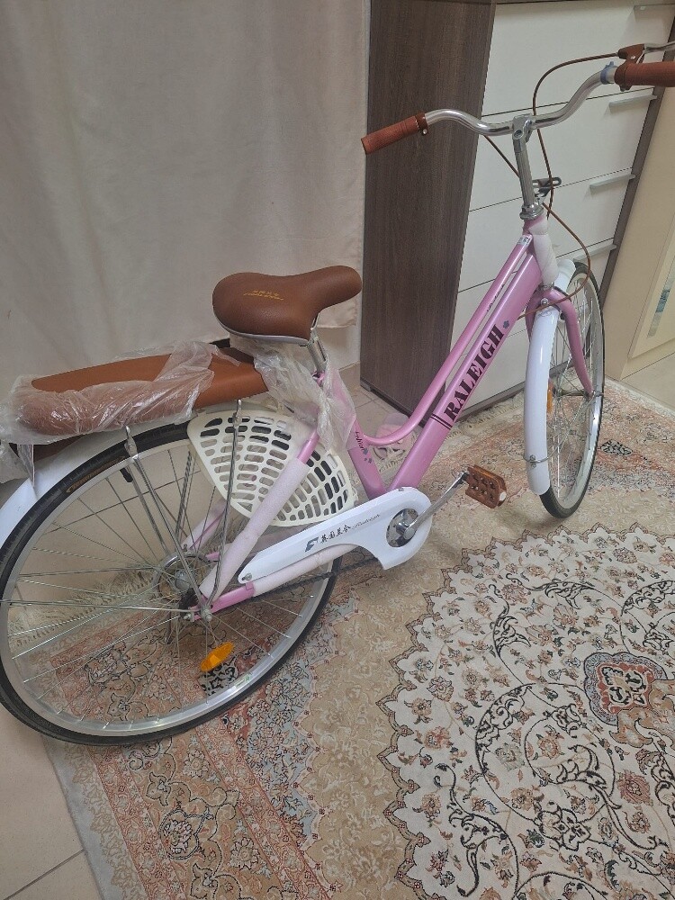 Classic women's bicycle - 2