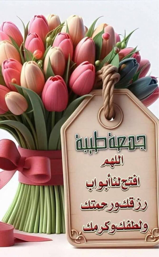  معلمة لغة انجليزيه وعلوم وأحياء  - 1
