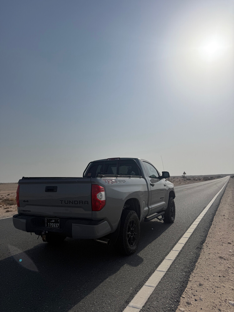 تندرا . تاندرا - 9
