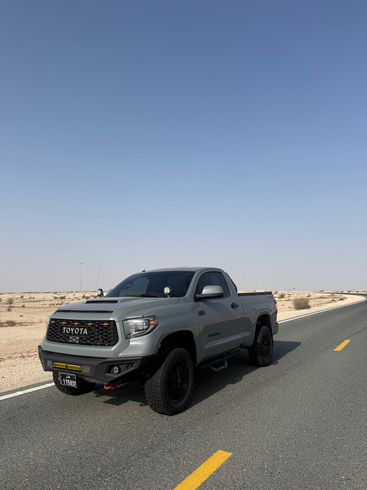 تندرا . تاندرا - 8