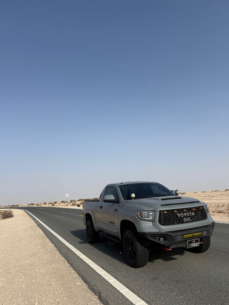 تندرا . تاندرا - 6