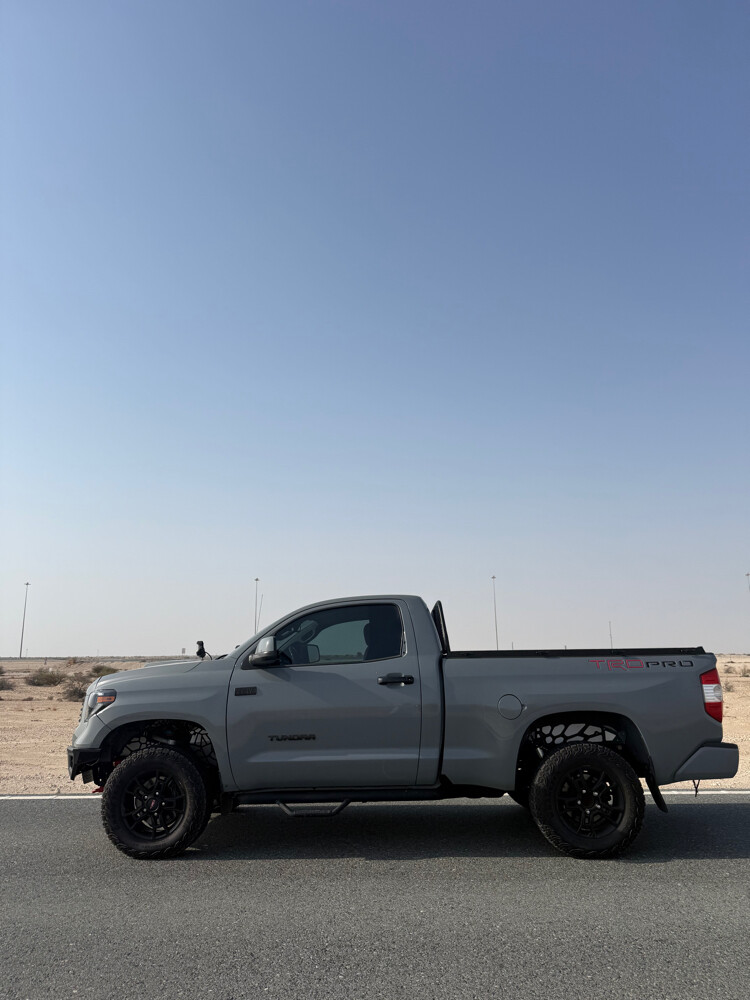 تندرا . تاندرا - 10