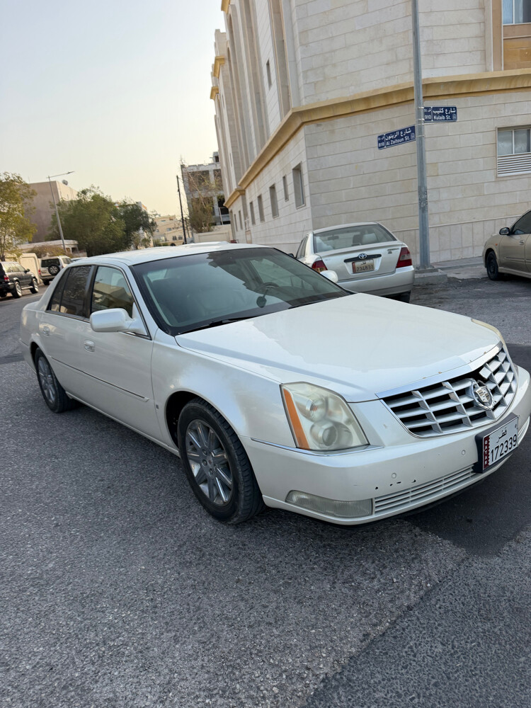 صبغ وكالة ممشي 52 الف - 2