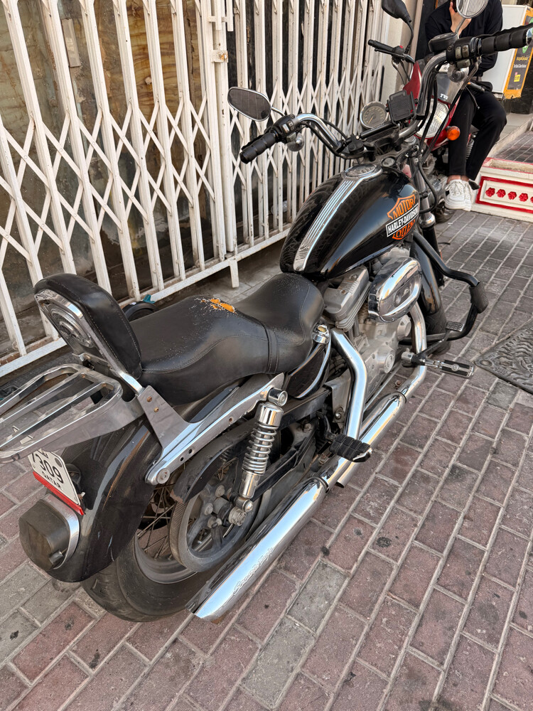 harley devidson 2008 - 2