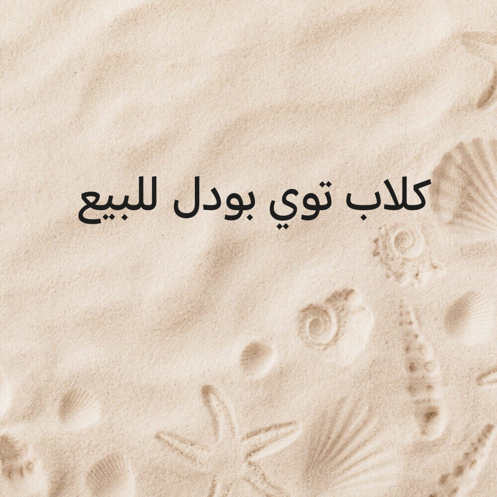 داوشاوند الهوت دوج. جاك راسل - 12