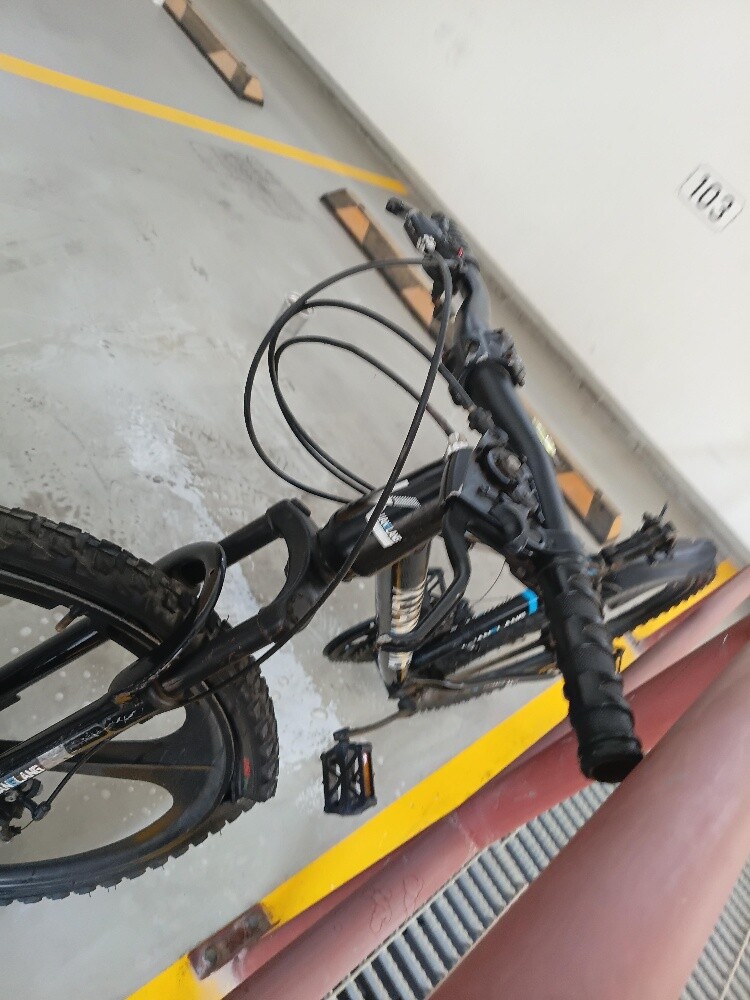 Limited edition racing bike - 2