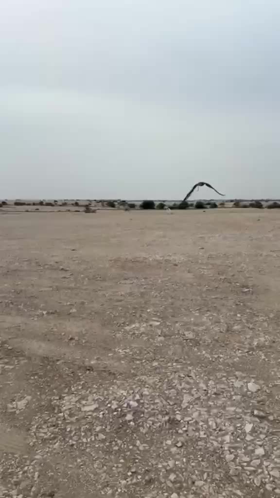 وكري - 1