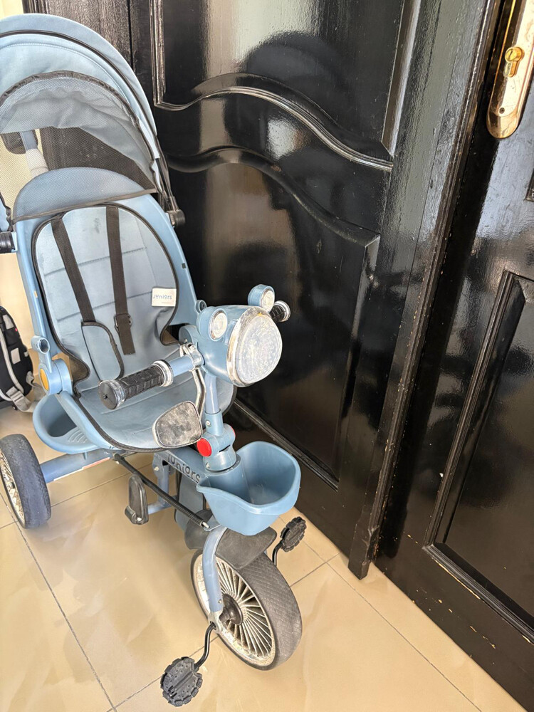 Kids Tricycle with Push Handle & Ca - 1