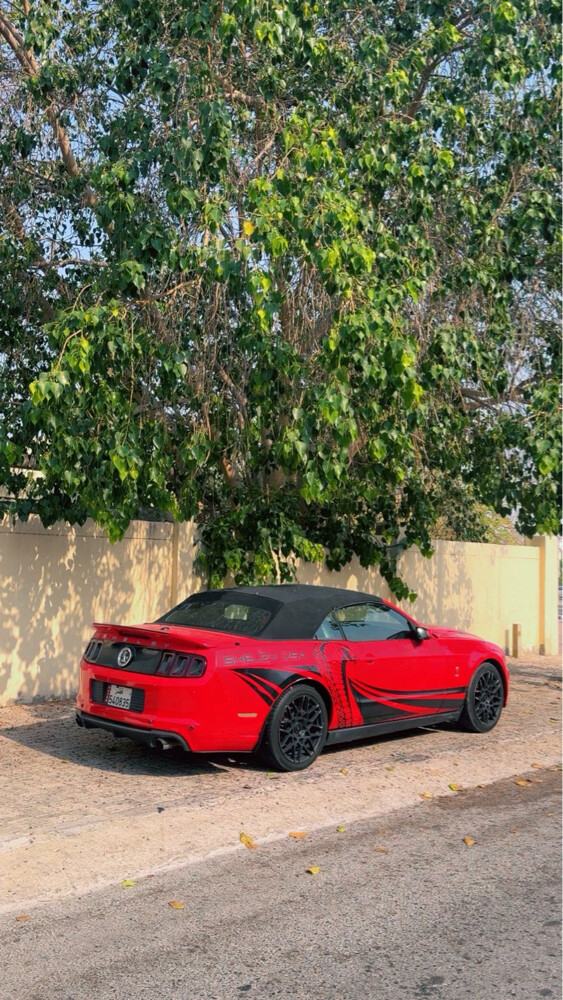فورد موستنج كشف - 5