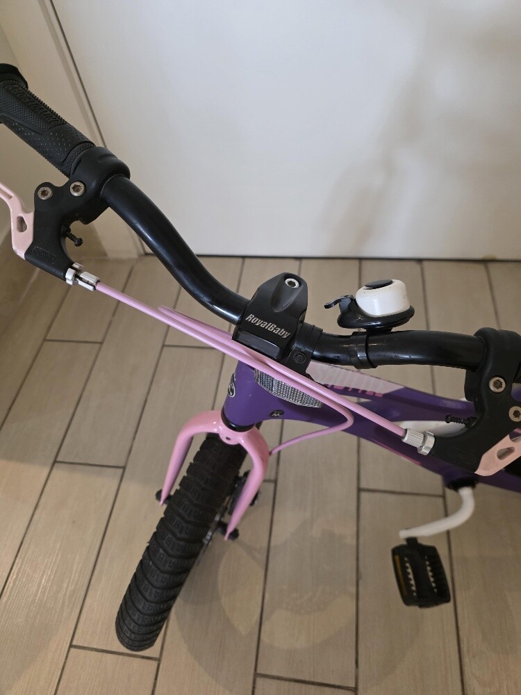 Royalbaby bike 14" - 3