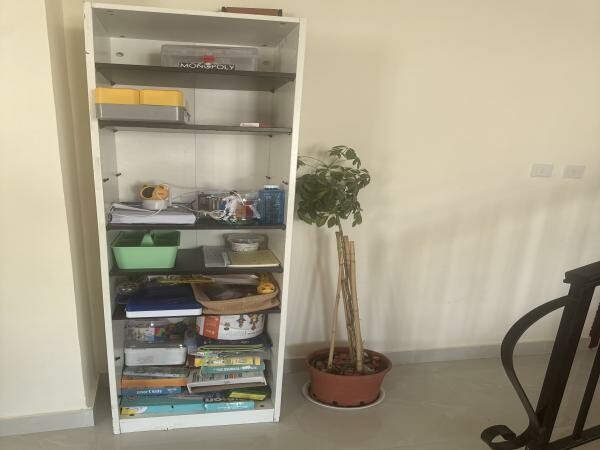 Shelfs - 2