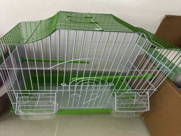 7 Canaries for sale - 3