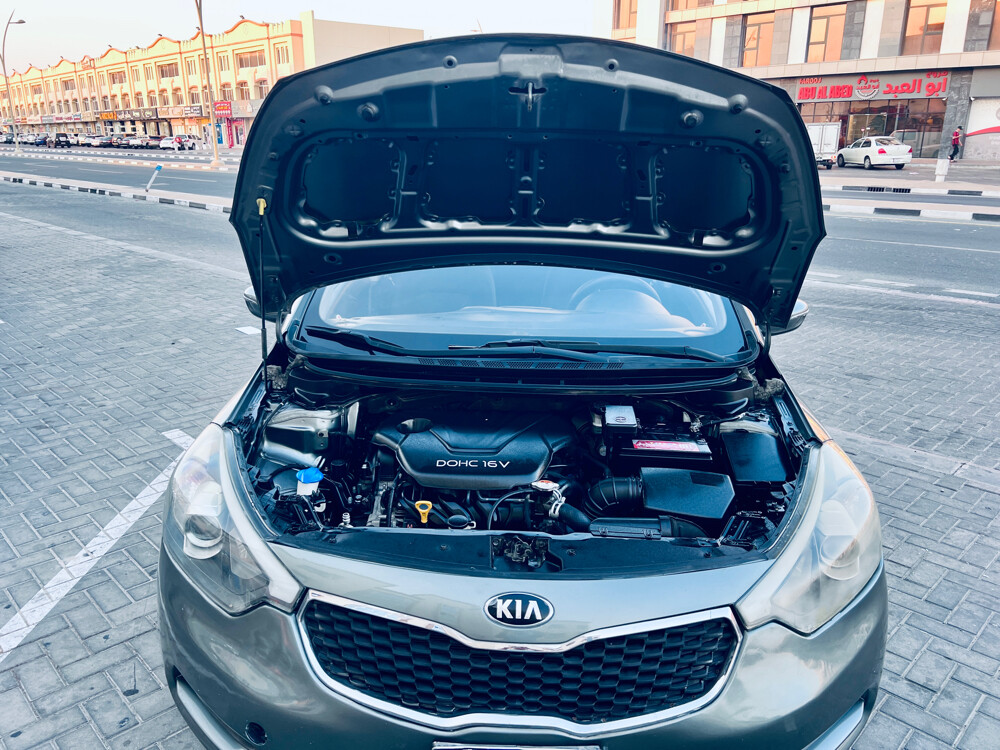 Fresh Car for Sale - 5