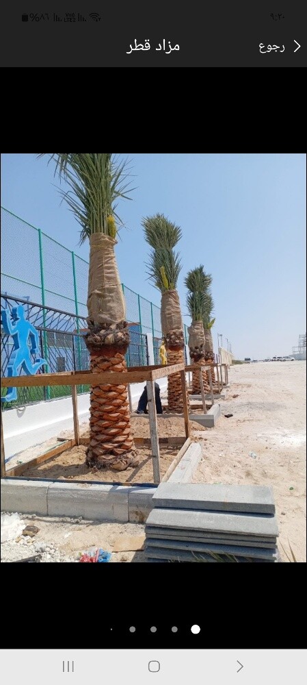 شركة زراعيه - 3