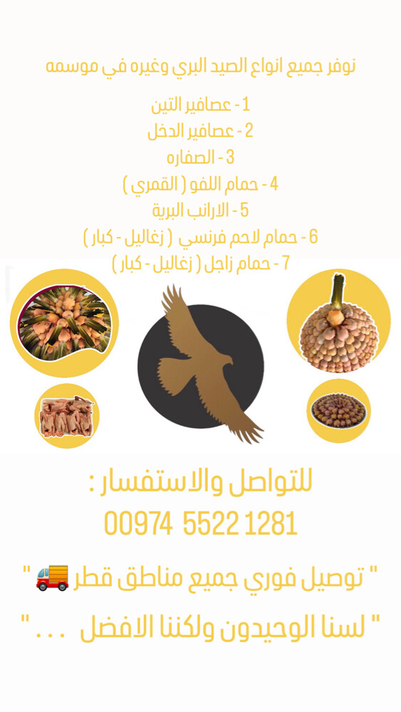 عصافير التين وعصافير الدخل صيد بر - 4