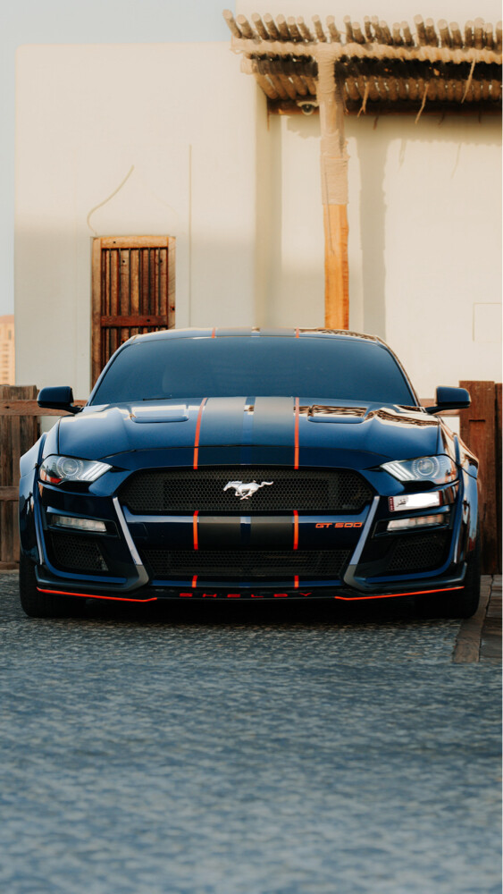 Mustang EcoBoost Widebody 2019 - 3