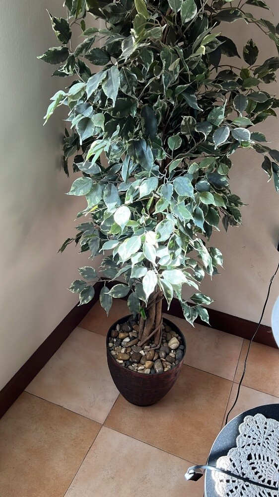 للبيع - 6