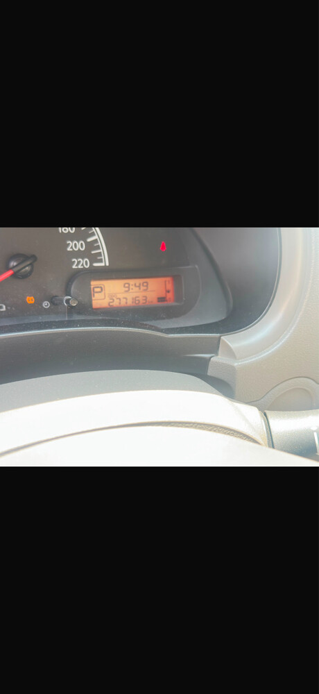 sunny - 9