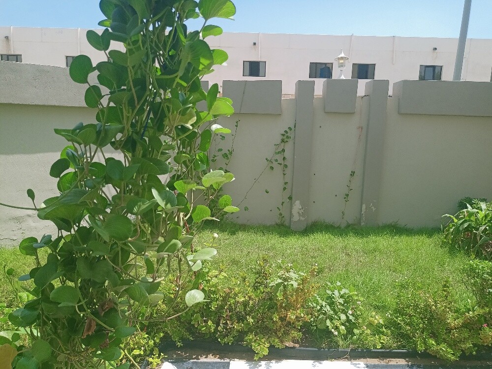 Al Balushi - 3