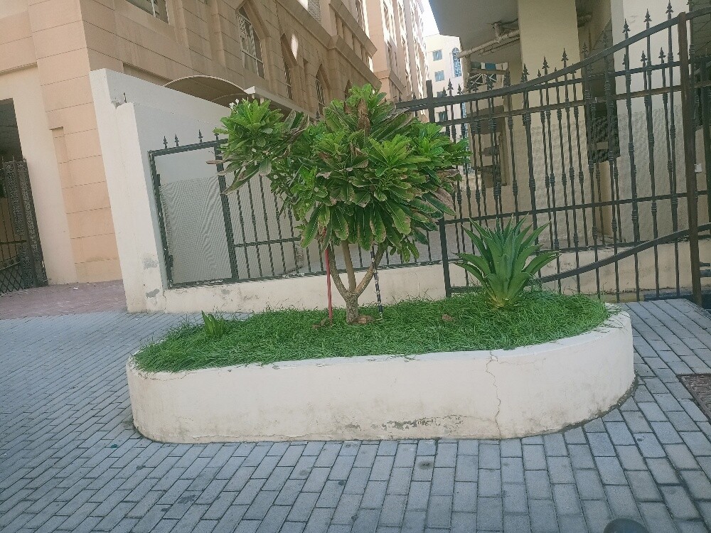 Al Balushi - 5