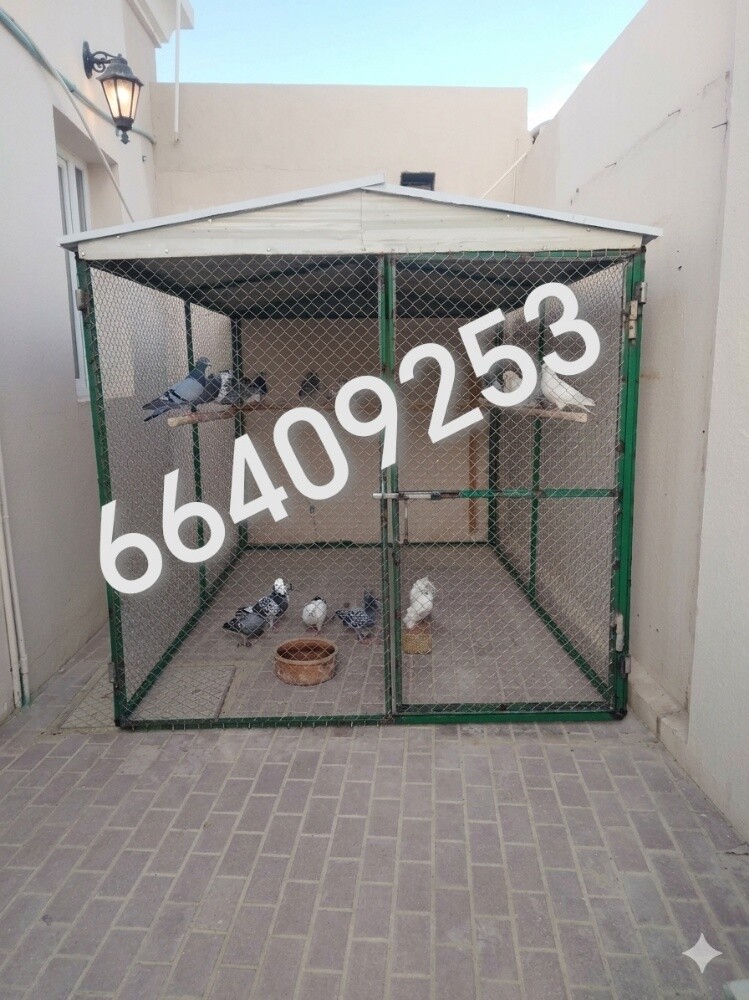 الحمامات القفاص=21*/٤ - 1