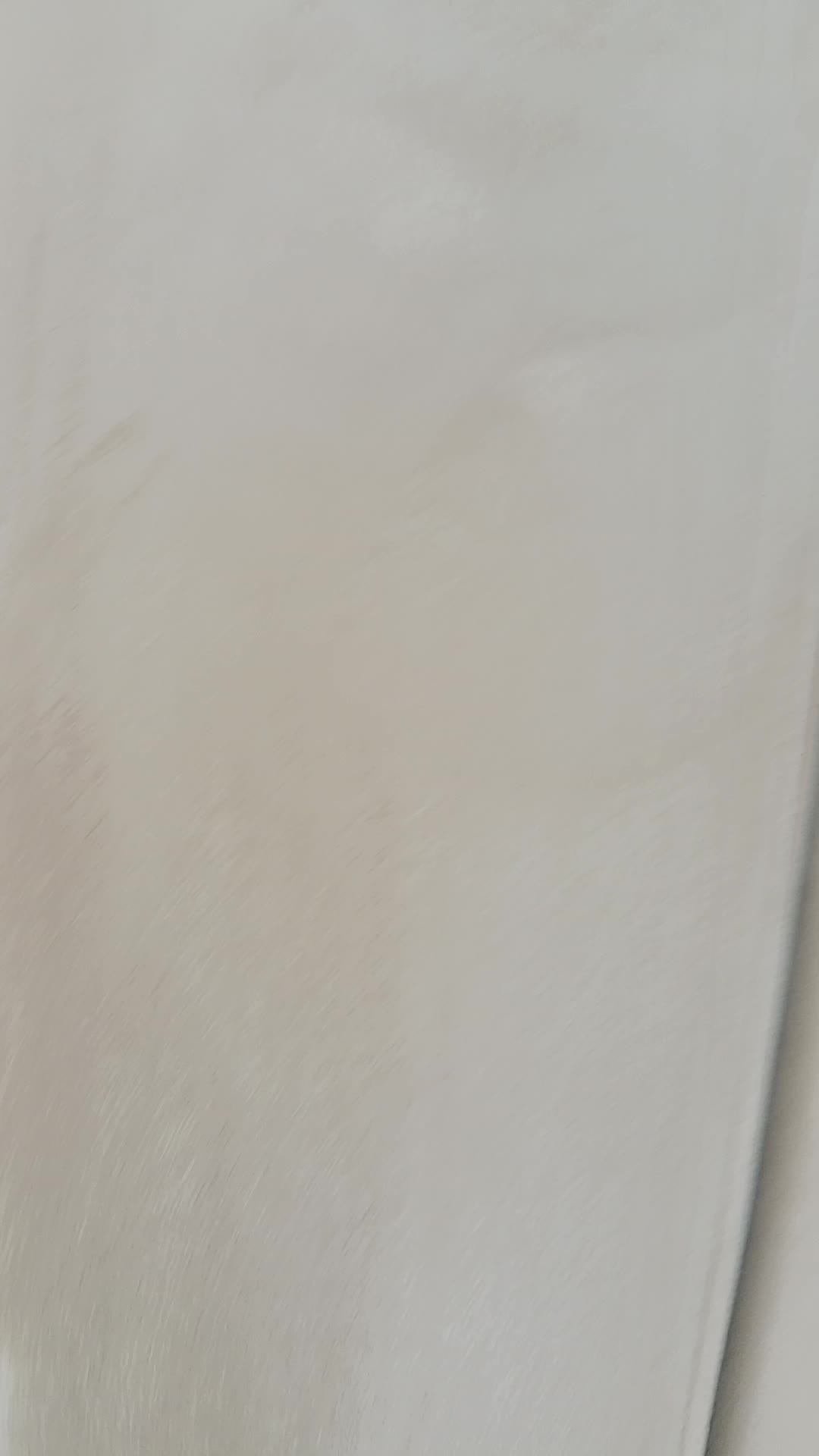 Abdullah Villa, Apartment Sofa Carpet cleaning Services - 24