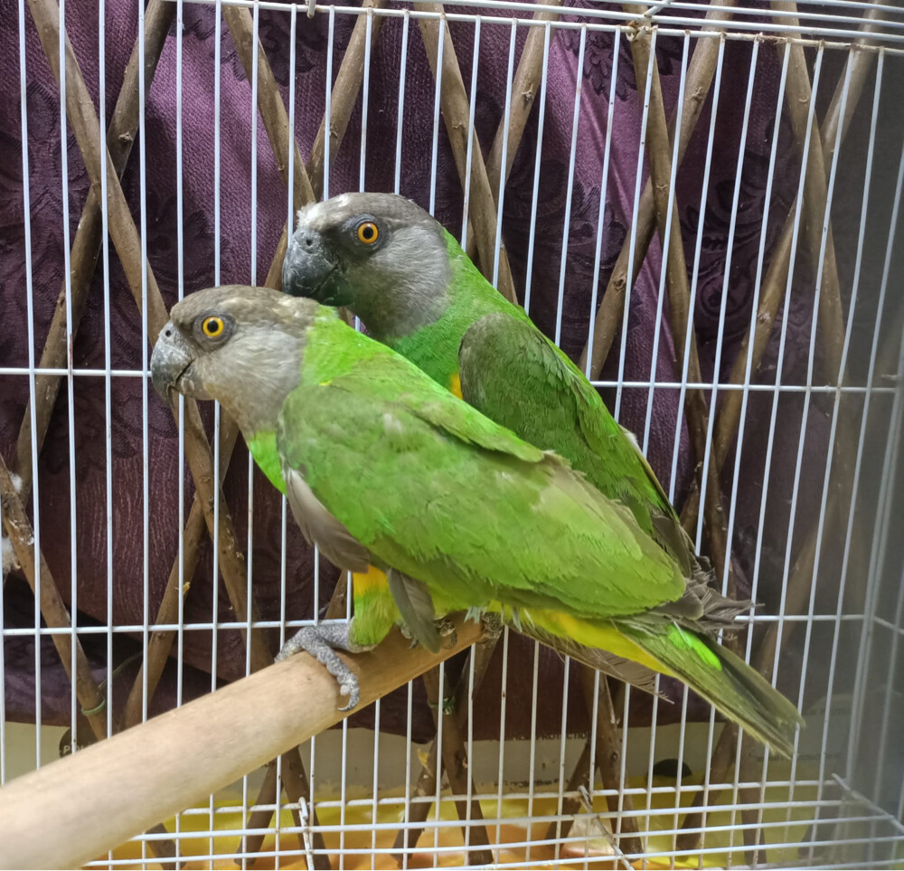 فرصة لمحبي الانتاج لن تعوض اليوم  - 7