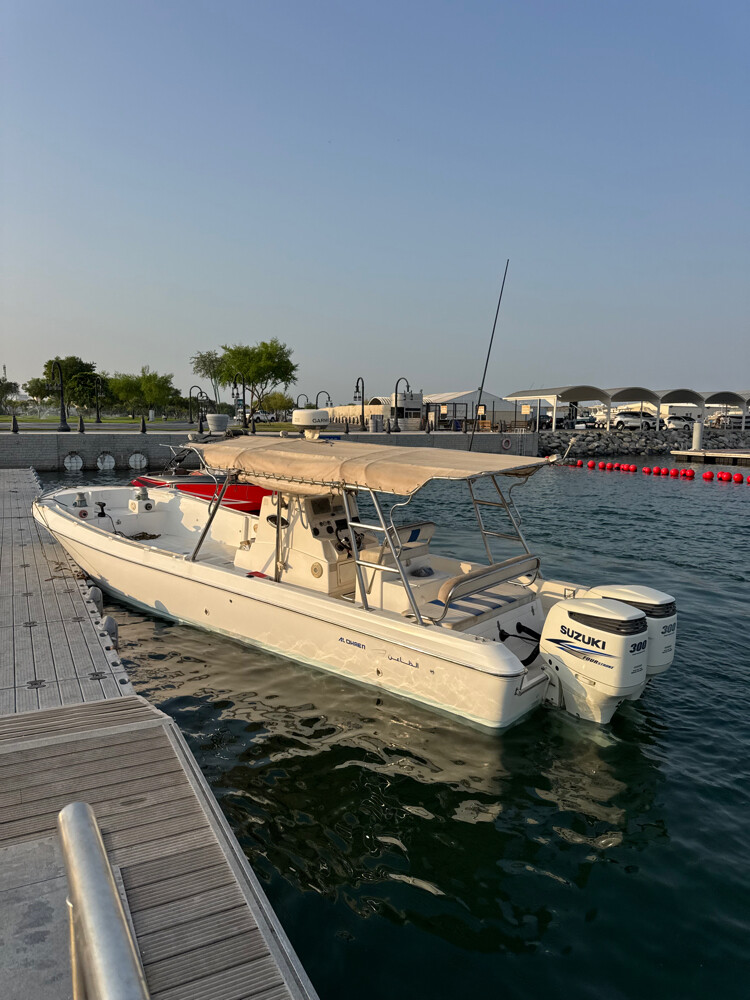 Al Daghen 35 twin suzuki 300 - 1