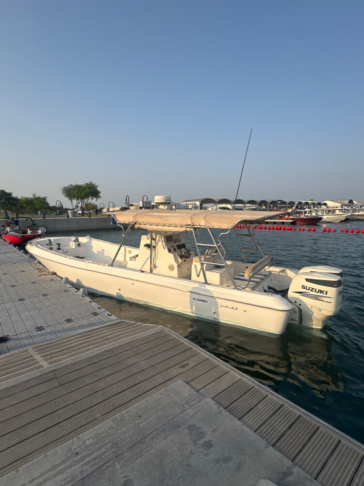 Al Daghen 35 twin suzuki 300 - 2