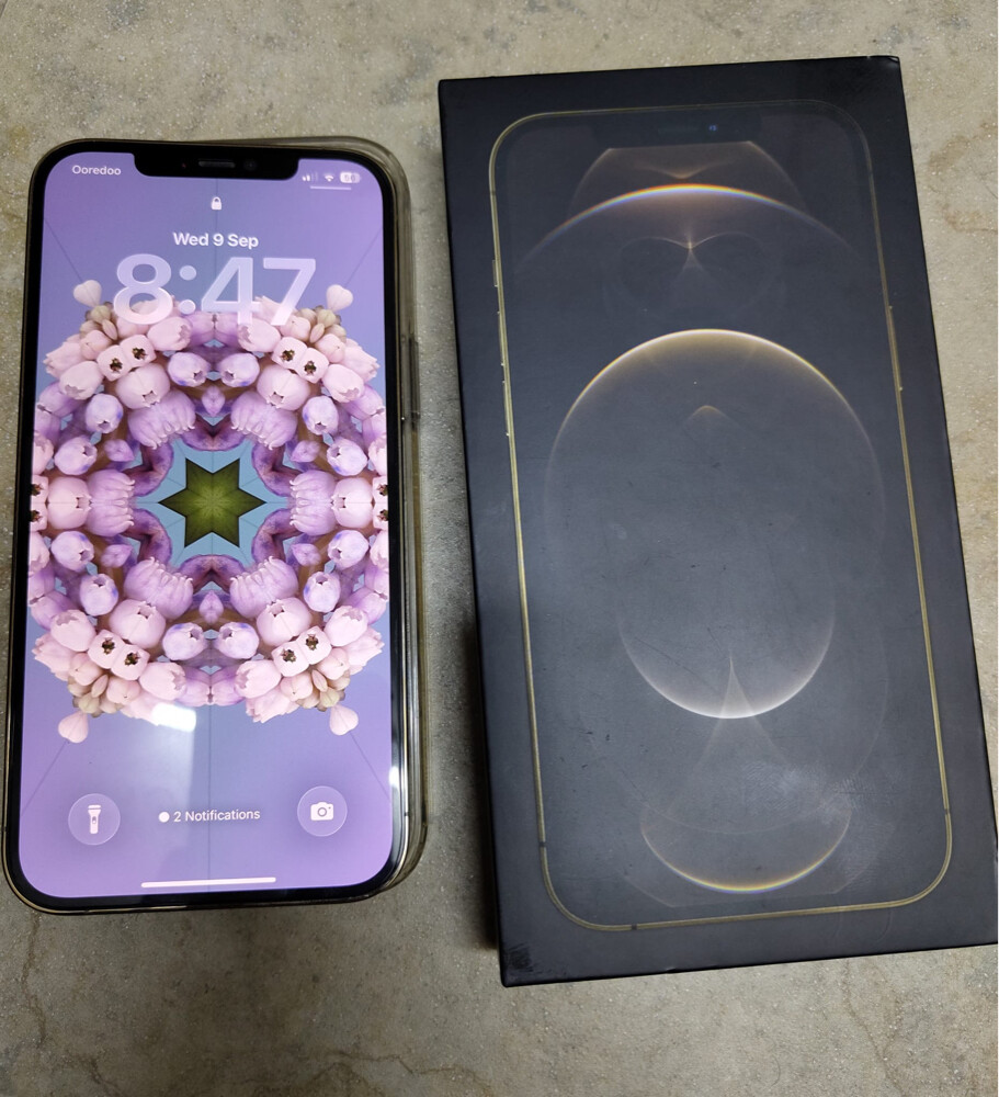 iPhone 12 Pro Max - 9
