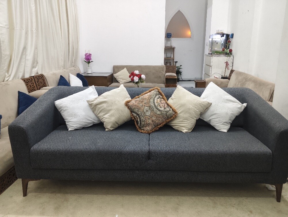 sofa cum bed - 1