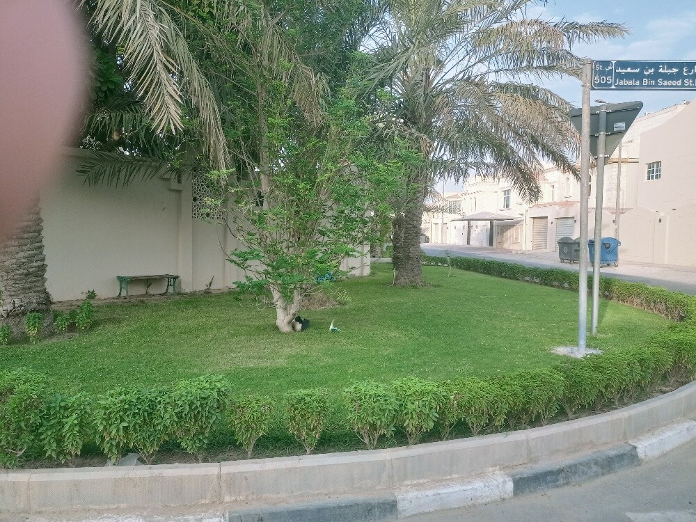 Al Balushi - 1