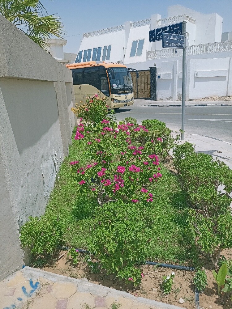Al Balushi - 4