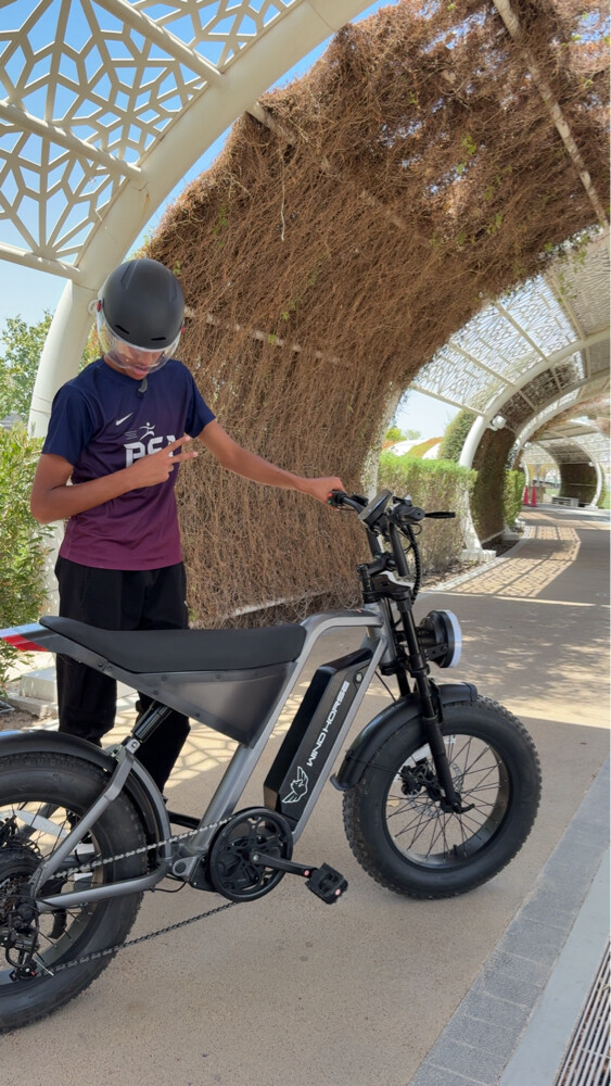e-bike - 2