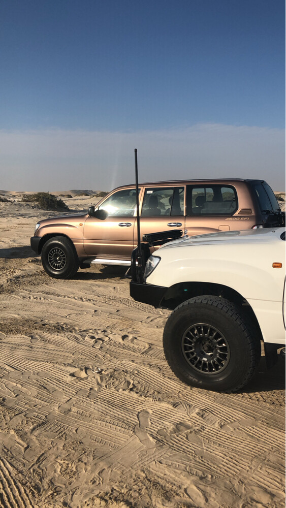 رنقات برايد ١٦  وقابل بالمعقول - 5