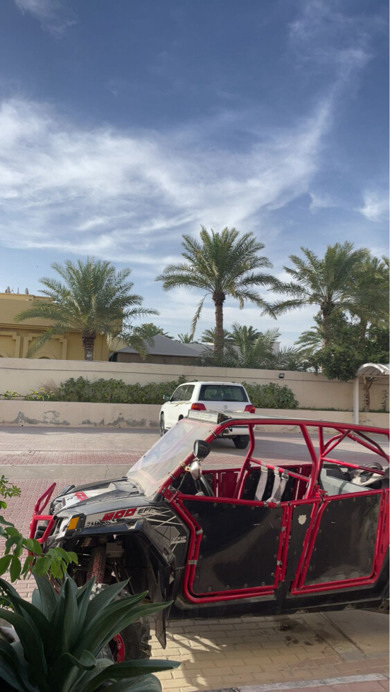 rzr 900 - 2
