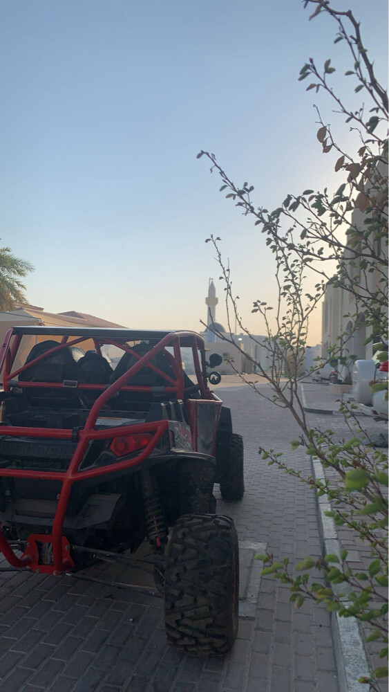 rzr 900 - 3