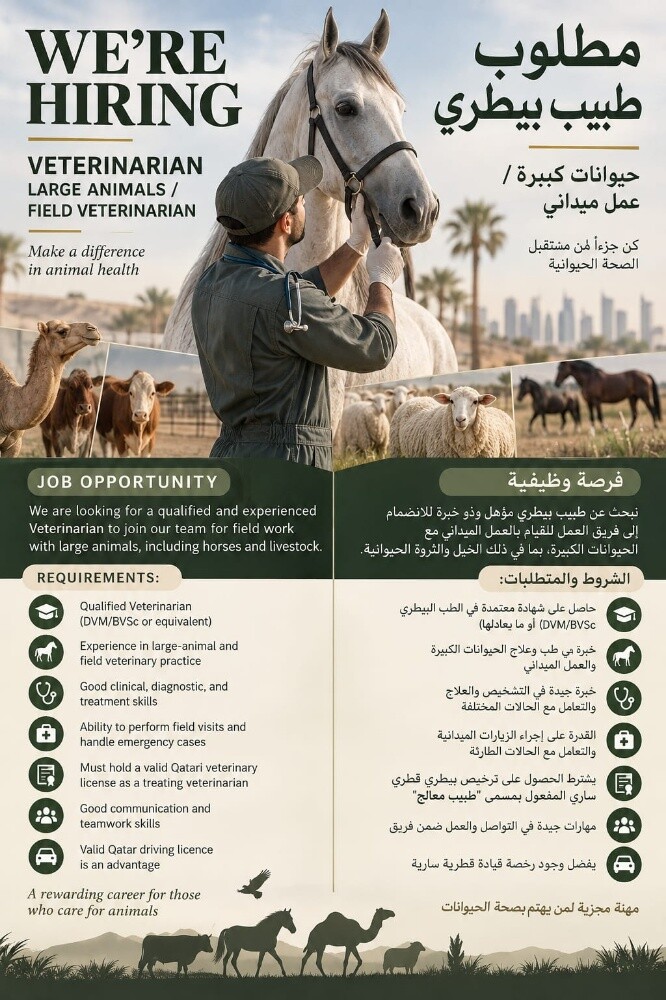 طبيب بيطري معالج - 1