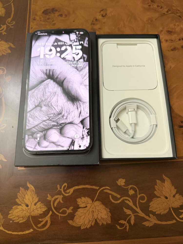  iPhone 13 Pro Max 256GB  - 2