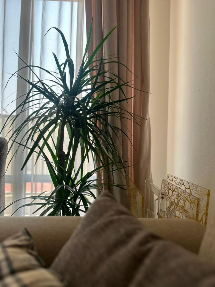   flat for sale - 8