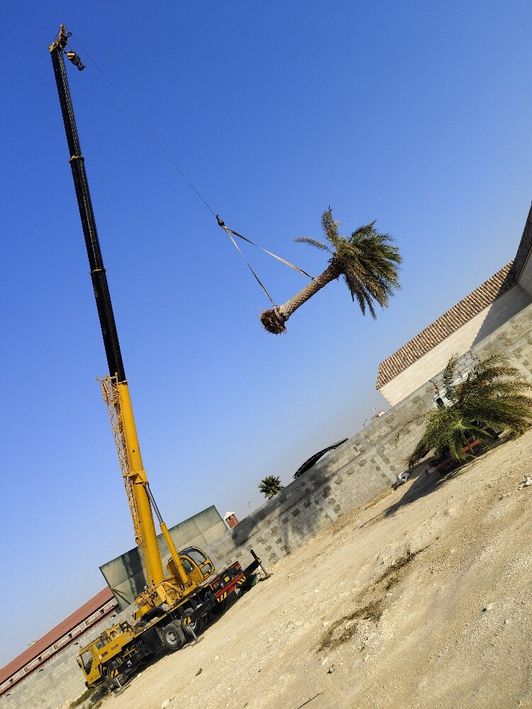 CRANE , MANLIFT , RENT. 74716499 - 4
