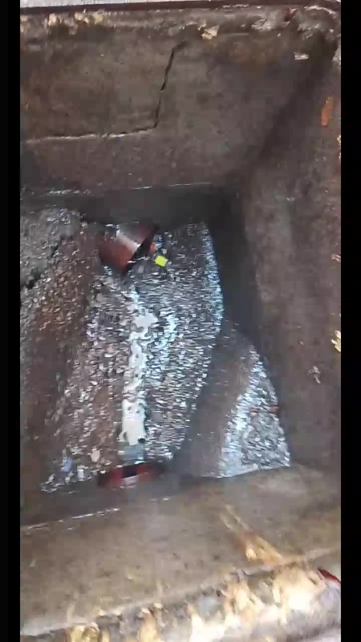 مكافحه الحشرات وتسليك المناهيل - 1