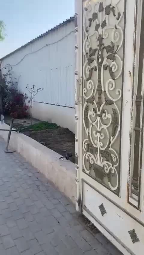 Equipped Farm in Khuraib - 1