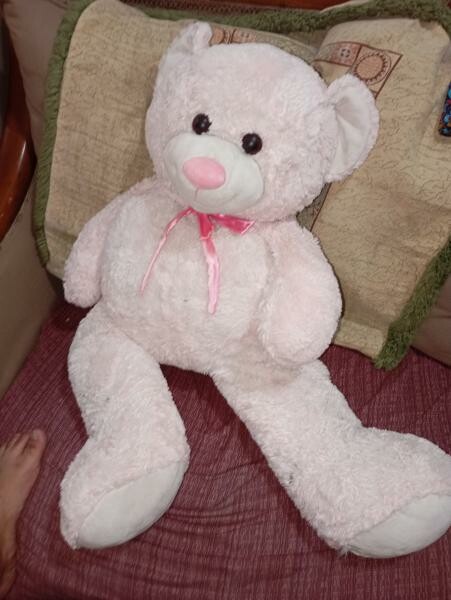 Big teddy bear - 1