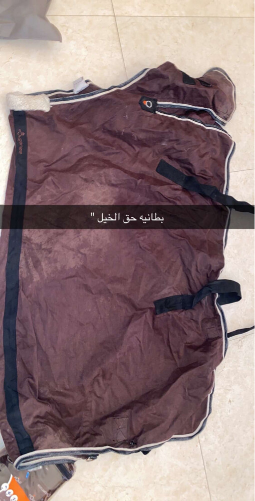 مستلزمات الفروسية  - 8