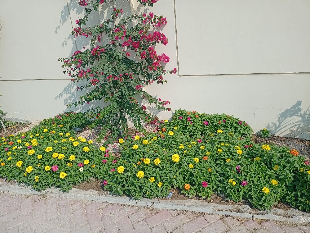 iltaf al  Balushi - 6