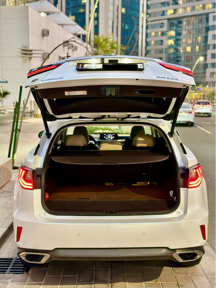 lexus rx350 original paint 2019 - 5
