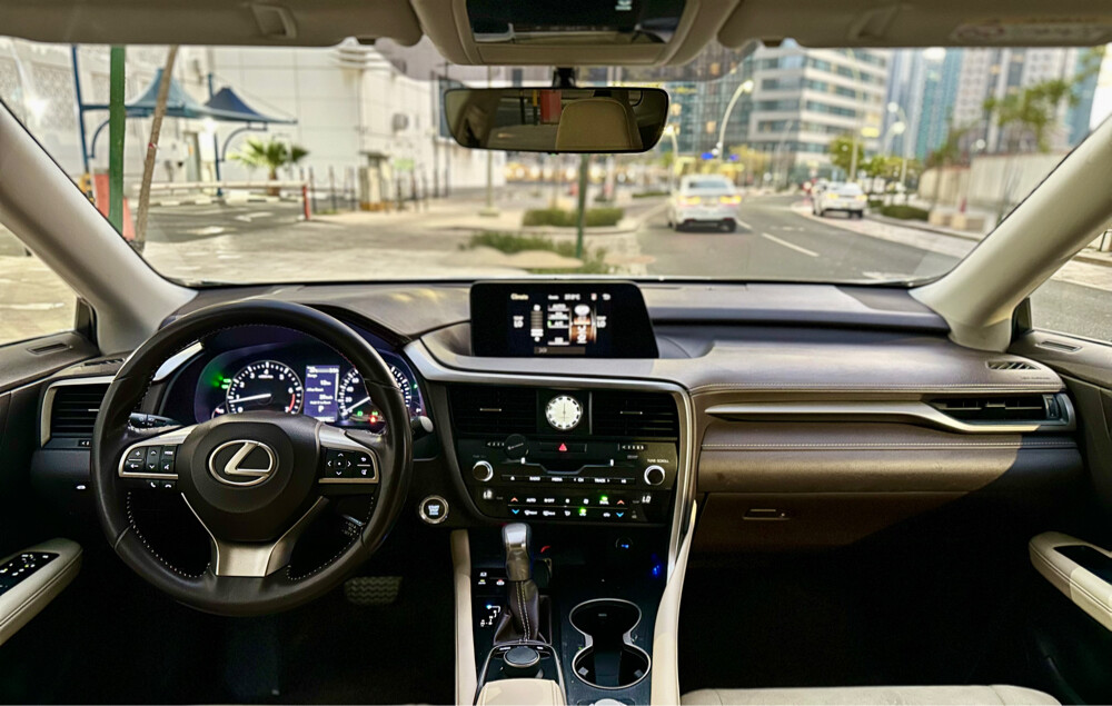 lexus rx350 original paint 2019 - 3